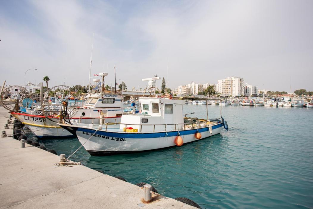 Olive Island Apartment Larnaca Exterior photo